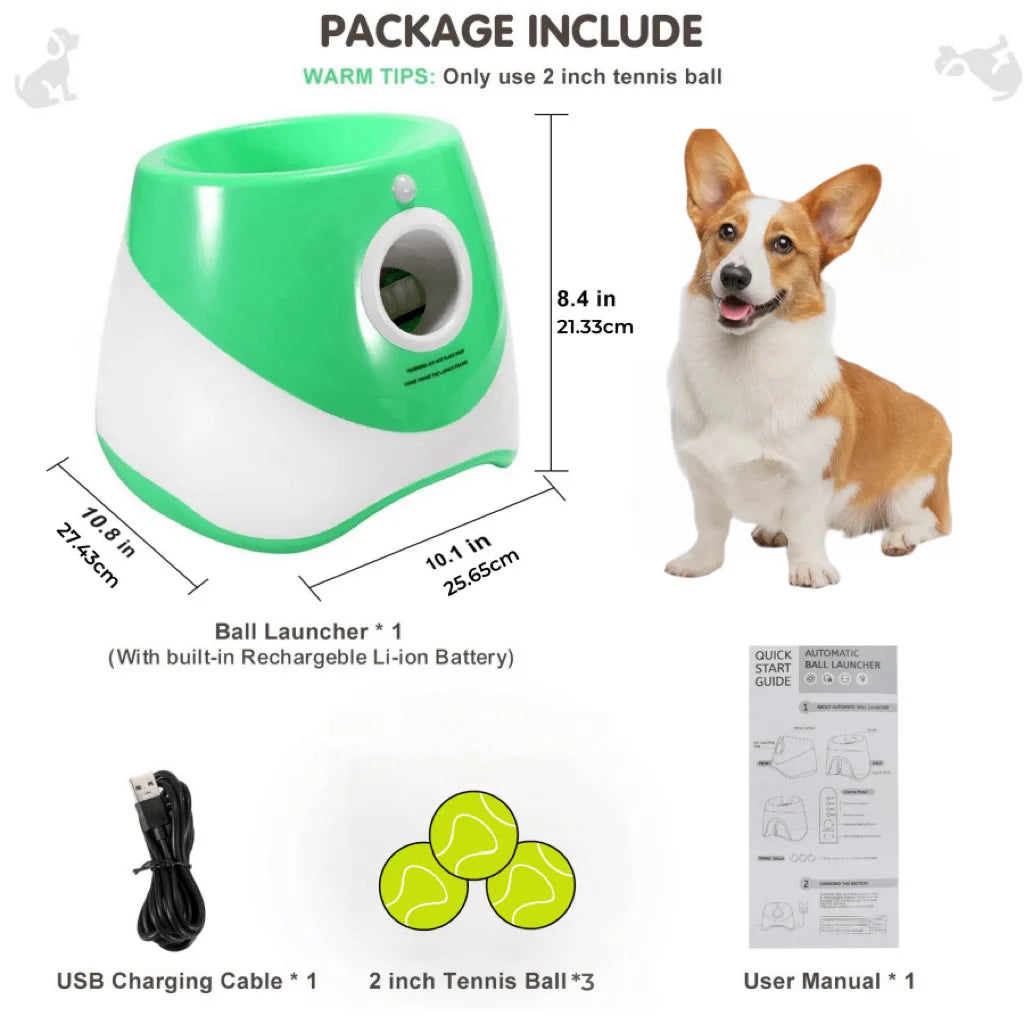 Does your dog love to play fetch non-stop? 🎾