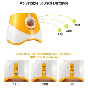 Does your dog love to play fetch non-stop? 🎾