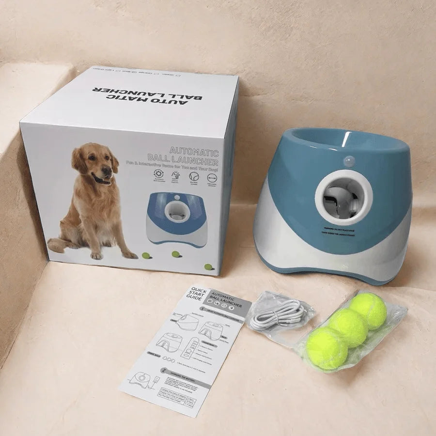 Does your dog love to play fetch non-stop? 🎾