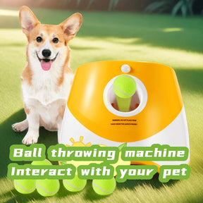 Does your dog love to play fetch non-stop? 🎾