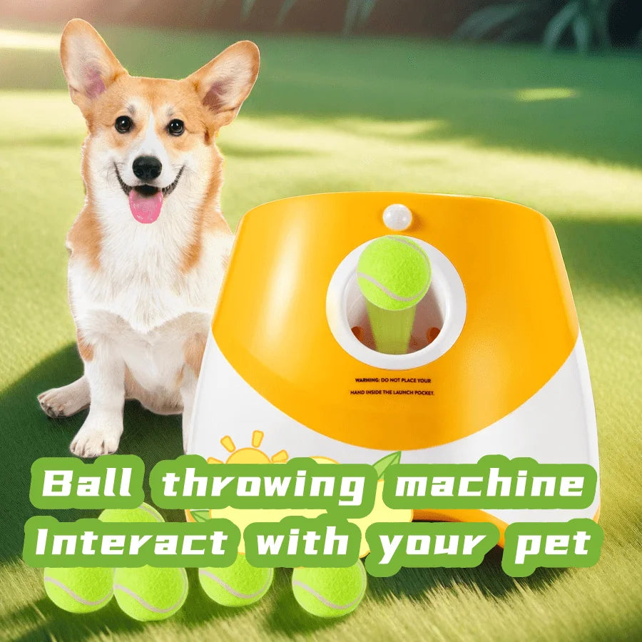 Does your dog love to play fetch non-stop? 🎾