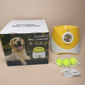 Does your dog love to play fetch non-stop? 🎾