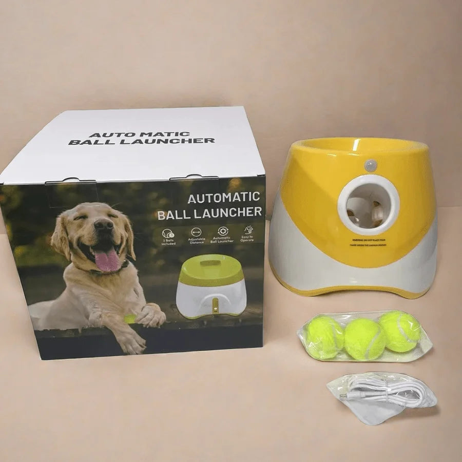 Does your dog love to play fetch non-stop? 🎾
