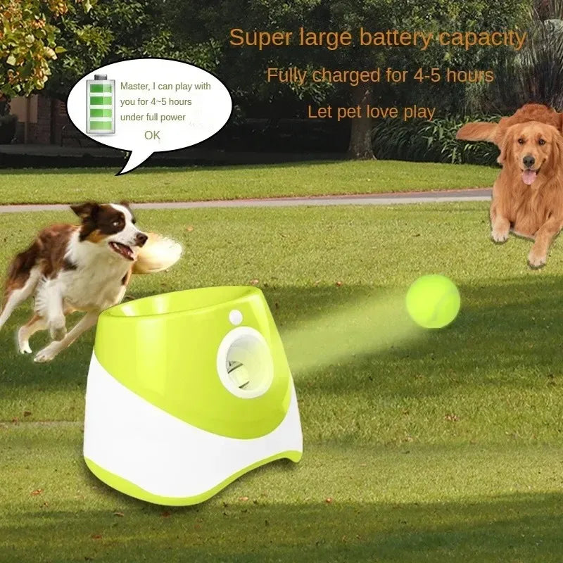 Does your dog love to play fetch non-stop? 🎾
