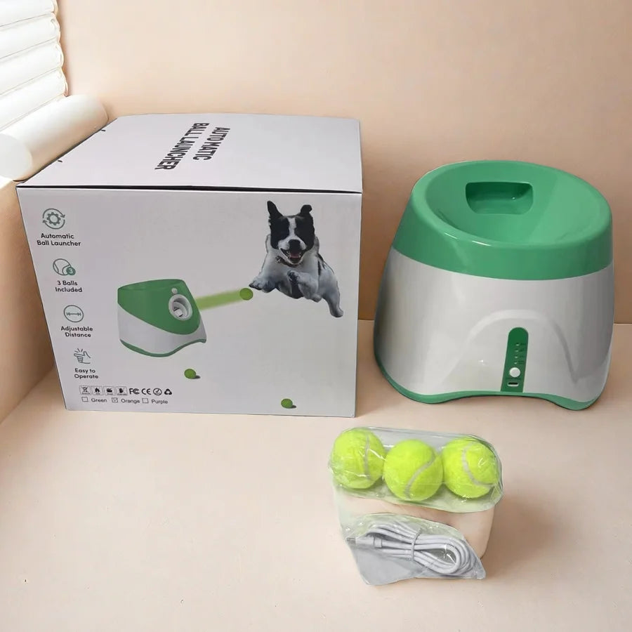 Does your dog love to play fetch non-stop? 🎾