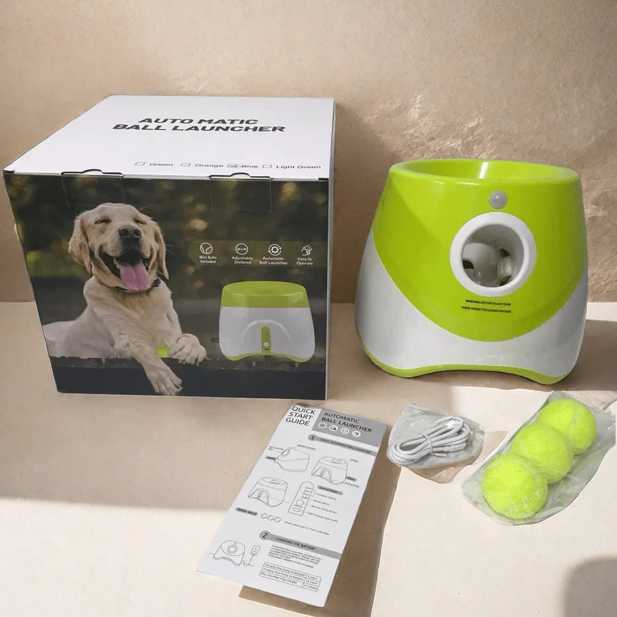 Does your dog love to play fetch non-stop? 🎾